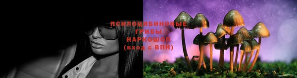 марки lsd Абаза