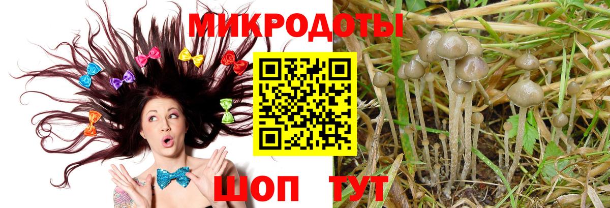 Галлюциногенные грибы Psilocybine cubensis Татарск