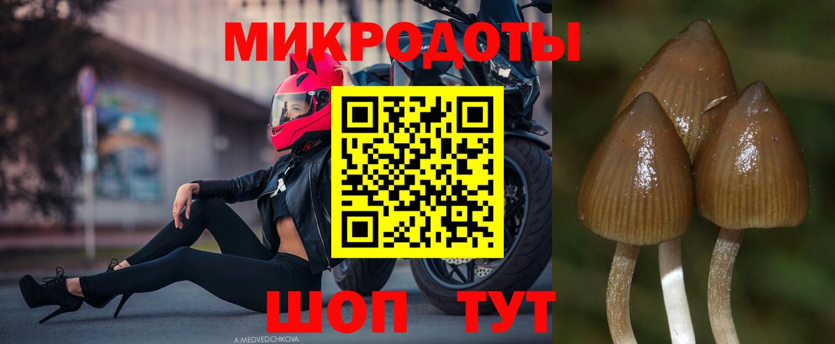 Галлюциногенные грибы Magic Shrooms  Вход с VPN  Татарск 